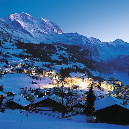 In Car-free - Hop In Nest