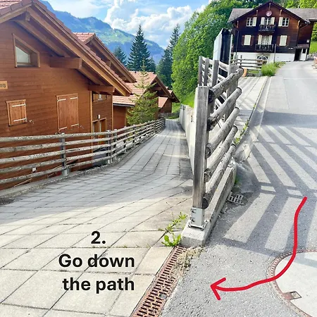 In Car-free - Hop In Nest Wengen