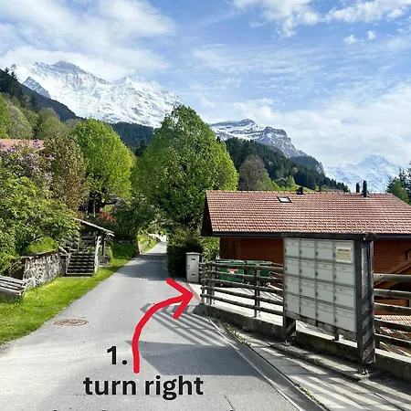 In Car-free - Hop In Nest * Wengen