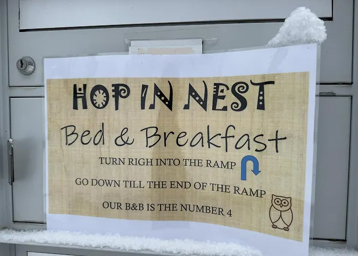 In Car-free - Hop In Nest וונגן